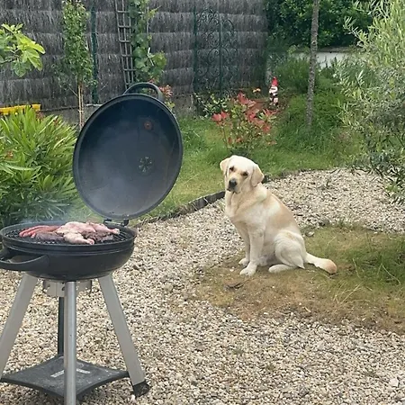 Maison Bord De * سانت ميشيل تشيف تشيف